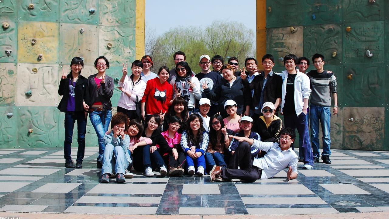 Warum bei DK Service bewerben?